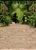 Floresta - Imagem 2