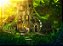 Floresta - Imagem 1