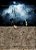 Halloween - Imagem 2