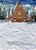 Natal - Imagem 3