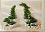 Plantas - Imagem 1