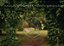Natureza - Imagem 1