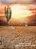 Caatinga - Imagem 2