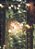 Luzes - Imagem 1