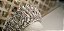 Tiara Strass - Imagem 2
