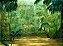 Selva - Imagem 1