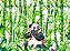 Panda - Imagem 1