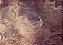 Textura - Imagem 1