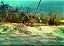 Fundo do mar - Imagem 1