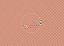 Liso - Imagem 1