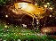 Floresta - Imagem 1