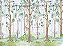 Floresta - Imagem 1