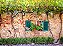 Jardim - Imagem 1