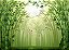 Bambu - Imagem 1