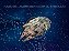 Star wars - Imagem 1