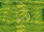 Grama - Imagem 1