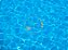 Piscina - Imagem 1