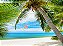 Praia - Imagem 4