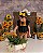 Girassol - Imagem 2