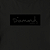 Camiseta Diamond Manga Longa Tonal Box Logo - Imagem 2