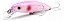 ISCA ARAGON 14CM - Imagem 1