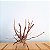Raiz Natural Para Decoração de Aquários - Ocean Tech - Imagem 3
