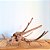 Raiz Natural Para Decoração de Aquários - Ocean Tech - Imagem 3
