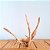 Raiz Natural Para Decoração de Aquários - Ocean Tech - Imagem 3