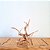 Raiz Natural Para Decoração de Aquários - Ocean Tech - Imagem 2