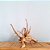 Raiz Natural Para Decoração de Aquários - Ocean Tech - Imagem 4