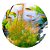 Planta Para Aquário Rotala Wallichii - AquaPlante - Imagem 2