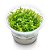 Planta Para Aquário Rotala Wallichii - AquaPlante - Imagem 5