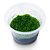 Musgo Para Aquário Riccardia chamedryfolia In Vitro - AquaPlante - Imagem 4