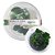 Planta Para Aquário Anubias barteri var. nana 'Petite' In Vitro - AquaPlante - Imagem 1
