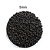 PLANTPRO PRIME SOIL BLACK 5 MM - 1 L - Imagem 3