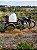 Triciclo Pulverizador Herbicida - Imagem 2