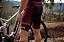 Bermuda Ciclismo STN Retrô - Imagem 2