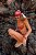 Top Zion - Textura Splash - Imagem 17