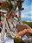 Shorts Linho - Dune Stripes - Imagem 2
