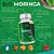 BIO MORINGA Oleífera Pura 60 Cápsulas 500mg - Imagem 3