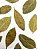 Louro Folhas Importado- 250 gramas - Imagem 1