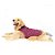 Roupinha para Pet Cachorro e Gato Capa Dupla Face Geométrica Vermelho Emporium Distripet - Imagem 6