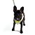 Coleira Peitoral Colete Para Pet Cachorro Neon Verde Emporium Distripet - Imagem 2