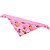 Bandana Para Pet Cachorro e Gato Capivara Rosa Emporium Distripet - Imagem 1