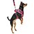 Coleira Peitoral Para Pet Cachorro Fashion Pink Emporium Distripet - Imagem 2
