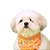Bandana Para Pet Cachorro e Gato Fruits Laranja Emporium Distripet - Imagem 2