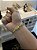 PULSEIRA TIJOLINHO ALONGADO (4mm) Escolha  17cm a 21cm - Banhado a Ouro 18K - Imagem 10