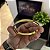 Bracelete Borda Arredondada – Banhado a Ouro 18K - Imagem 1