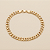 Pulseira Pitbull 6mm 21cm Fecho Mosquetão – Banhada a Ouro 18K - Imagem 1