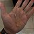 Pulseira Tijolinho alongado 3mm 20cm – Banhada a Ouro 18K - Imagem 2